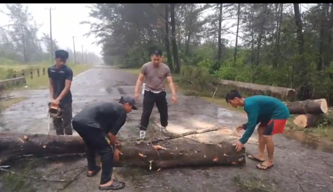 Polsek Merawang Gerak Cepat Evakuasi, Pohon Tumbang di Jalan Lintas Timur Merawang