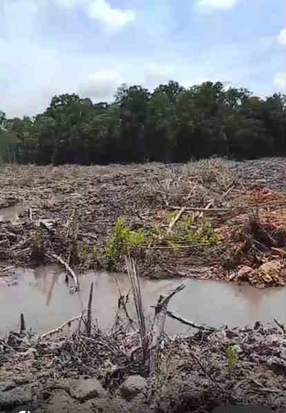 Dugaan Praktik Jual Beli Tanah Negara Tanpa Hak di Desa Pergam Kian Meresahkan Warga