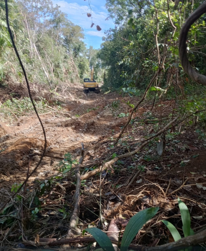 Persawahan Desa Pergam Terancam Kekeringan, Warga Soroti Pembukaan Lahan di Lelap Kuko