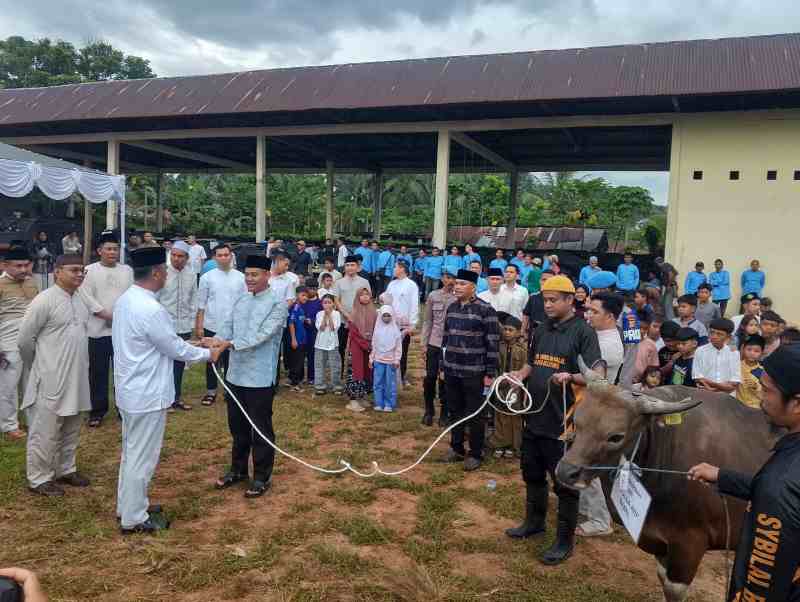 Polda Babel Salurkan Puluhan Hewan Kurban Di Hari Raya Idul Adha 1447 H, Kapolda : Momentum Perkuat Silaturahmi Dan Rasa Kepedulian