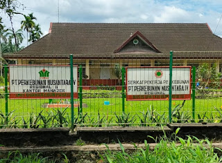 Diduga Ada “Main Mata”, Pencurian Brondolan Sawit di PTPN IV Kebun Pabatu Kian Menggila