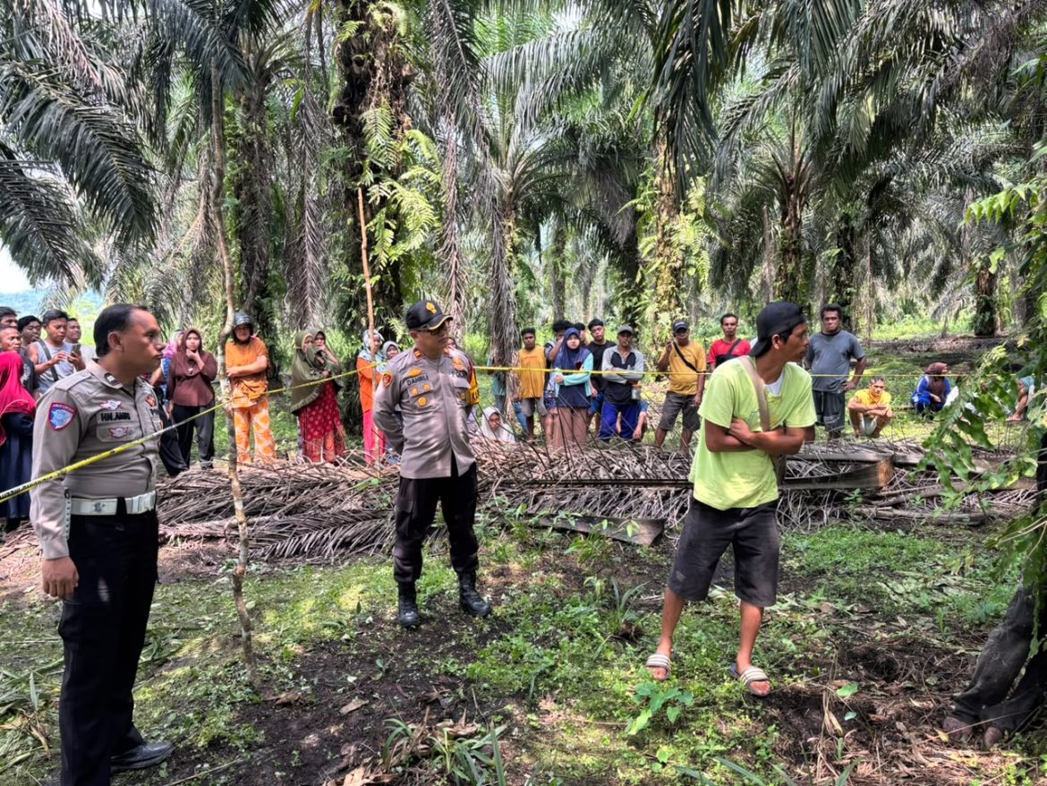 Polres Bangka Barat Selidiki Penemuan Jenazah Pria di Perkebunan Sawit