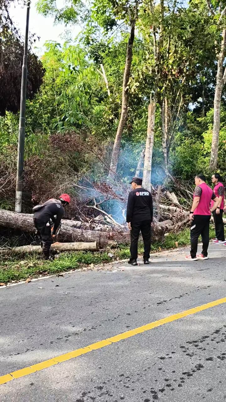 Cegah Kecelakaan Akibat Pohon Tua, Polres Bangka Barat Pangkas Dahan Rawan Tumbang di Air Limau